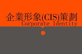 廣告、營銷、品牌與企業策劃 戰略協同下的廣告設計核心